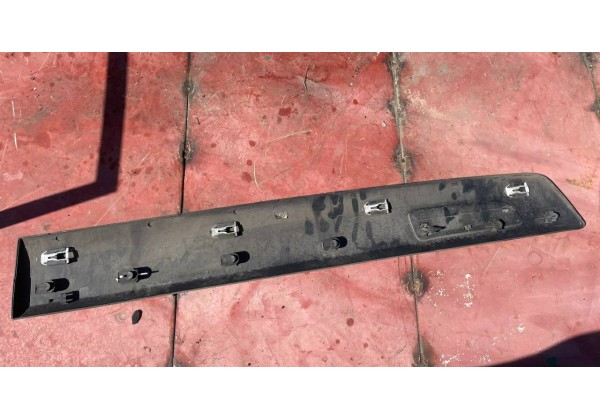 Молдинг передньої правої дверки Renault Scenic 2 Conquest Cross, 8200631594