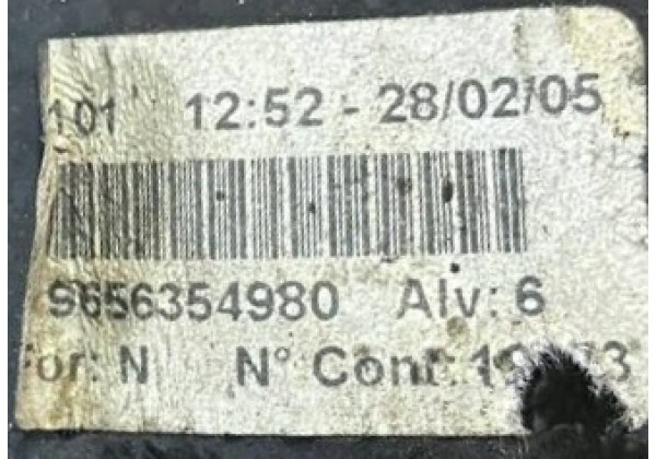 Вакуумний підсилювач гальм Citroen C5, 2.2 HDi, 0204024797, 9656354980