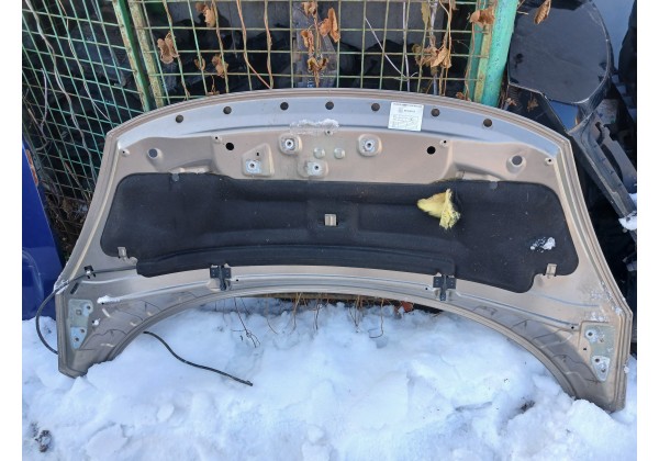 Капот Renault Scenic III, Grand Scenic III, 651000036R